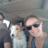 House sit pet parent - Lovely Livi the wired haired x jack russell terrier