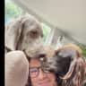 House sit pet parent - Holiday sitter for cuddles and walks in leafy SW London
