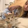 House sit pet parent - Cat sitter required in Barcelona city center