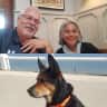 House sit pet parent - Surrey house. Super friendly dog with no issues. Country location.