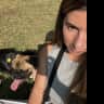 House sit pet parent - Pooch sitter needed for pug snuggles!