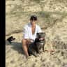 House sit pet parent - Pet sitter needed Northern Beaches, house in Collaroy Plateau