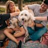 House sit pet parent - Looking for a last minute sitter for 2 dogs in house near all the fun fall stuff