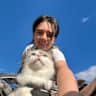 House sit pet parent - Loving catsitter wanted for cuddly ragdoll in London