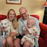 House sit pet parent - South London home with diabetic cat and nervous pup looking for a new friend