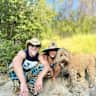 House sit pet parent - Beautiful home in Santa Cruz California - 2 cute doggies to love