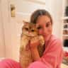 House sit pet parent - Sunny & SpaciousNoe Valley Loft w/ Two Cats