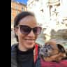 House sit pet parent - The Sweetest Dog in Rome