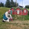 House sit pet parent - Two weeks with Bob Ross in Reykjavik