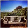 House sit pet parent - Waterfront House sitting two dogs mid July 2025 Bosham. West Sussex.