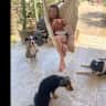 House sit pet parent - ☀️Mallorca finca our beautiful home full of love, happiness and furry creatures