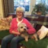 House sit pet parent - Highland Spring
