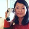 House sit pet parent - House Sitting with 1 Friendly Greyhound in West Yorkshire