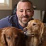 House sit pet parent - Responsible sitter for the very best Golden Retriever in the heart of Lisbon