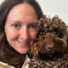 House sit pet parent - Pet sitting of cuddly cockapoo in Paris
