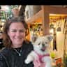 House sit pet parent - Cozy Near-River Home with Two Loving Goldens