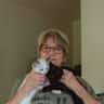 House sit pet parent - Kitten sit in secluded getaway home near St. Louis, MO