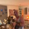 House sit pet parent - Friendly, elderly dog and cat in East Perth.