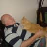 House sit pet parent - One lovely cat in Llangennith. Cute and affectionate.