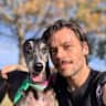 House sit pet parent - River - 10 years old retired greyhound need a sitter urgently. <3