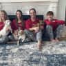 House sit pet parent - Franklin/Nashville, Tennessee:  Spend time with 3 great dogs