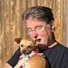 House sit pet parent - Affectionate, lap-loving chiweenie who loves to play.