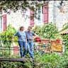 House sit pet parent - Former water mill, nature reserve and smallholding. Horses, donkeys, dogs & pig.