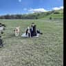 House sit pet parent - 2 weeks stay in the glorious Yorkshire Dales