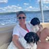 House sit pet parent - Home of Mount Monadnock