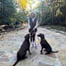 House sit pet parent - Beautiful Mountain Retreat in North Carolina