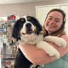 House sit pet parent - In search of last minute pet sitter to look after gorgeous berner puppy.