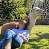House sit pet parent - 3 dogs and beautiful surrounds!