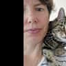 House sit pet parent - House with lovely views near Bath, friendly little tabby.