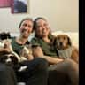 House sit pet parent - Care for our affectionate cats & gentle senior dog at the beautiful Treviso
