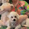 House sit pet parent - Easy Sitting Experience in a Beautiful Area of New Mexico