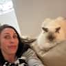 House sit pet parent - Stay in gorgeous villa in Revesby with 3 friendly cats!
