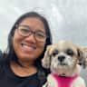 House sit pet parent - UWS Manhattan 1-BR with Senior Shih Tzu