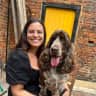 House sit pet parent - Sitter(s) required for cute Cocker Spaniel in a great London location!