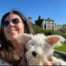 House sit pet parent - Spacious house in Cascais with pool. Miniature Schnauzer