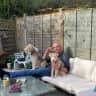 House sit pet parent - The Outdoor Dog Guy......
Exploring the Hampshire countryside.
