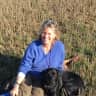House sit pet parent - Two Hampshire Labradors looking for love!