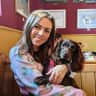 House sit pet parent - Stay with a lovable spaniel and two rabbits in rural Wiltshire town near Bath