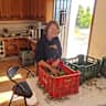 House sit pet parent - Countryside finca in Andalusia. Quiet, beautiful views & more essential a pool.