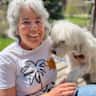 House sit pet parent - Looking for an experienced dog sitter who enjoys walking in the mountains