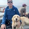 House sit pet parent - Phoenix Park quiet house, two friendly dogs who need walks, two cats who don’t!