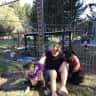 House sit pet parent - Country church - all mod cons 40 acres 2 staffies chooks log fie