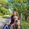 House sit pet parent - Gentle sitter required for anxious, goofy Irish Terrier in a sm country cottage