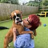 House sit pet parent - My name is Sally.  I live in Worcester with my beautiful girl Rosie the  Boxer