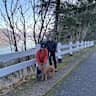 House sit pet parent - Art-filled, 4-story Portland, Oregon condo, with amazing views & 3 furry pals.