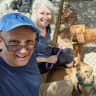 House sit pet parent - Reliable, responsible, caring pet sitter wanted for our 2 Rhodesian Ridgebacks